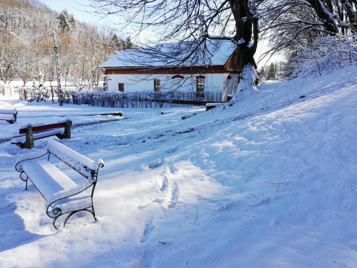 Parva Foresta Apartment Miskolc Ngoại thất bức ảnh